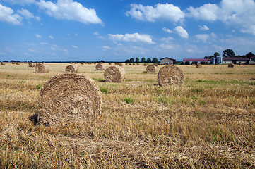 Image showing Haystacks in the field