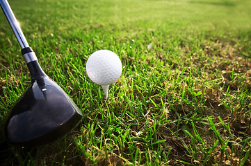 Image showing Playing golf. Club and ball on tee