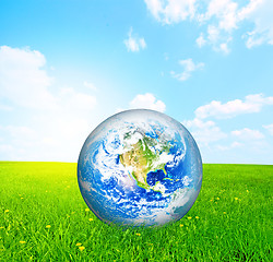 Image showing Earth globe on green grass