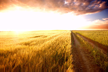 Image showing Sunset field