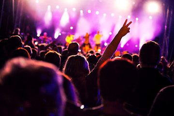 Image showing People on music concert