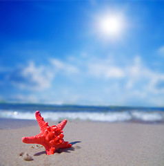 Image showing Starfish on tropical beach