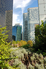 Image showing Skyscrapers