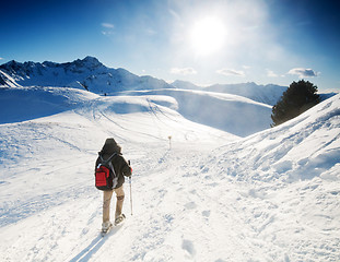 Image showing Mountain trekking