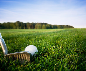 Image showing Golf club and ball