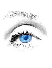 Image showing Woman blue eye