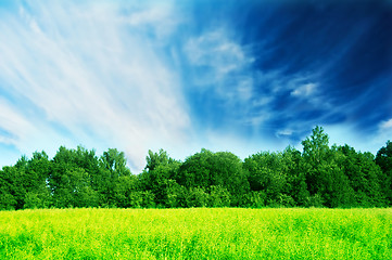 Image showing Fresh green spring landscape