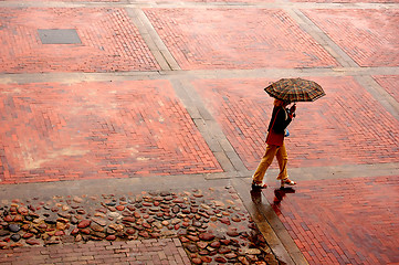 Image showing Alone in the rain