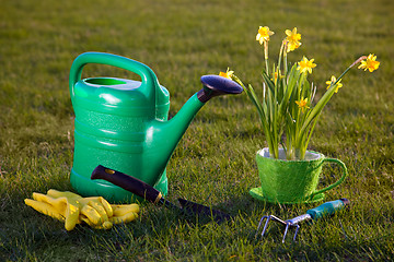 Image showing Gardening tools and flowers