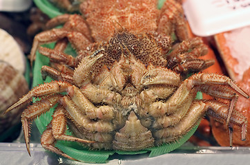 Image showing Crab detail