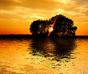 Image showing Sunset and trees