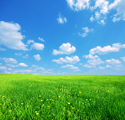 Image showing Sunny spring landscape