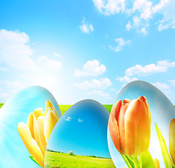 Image showing Perfect easter background