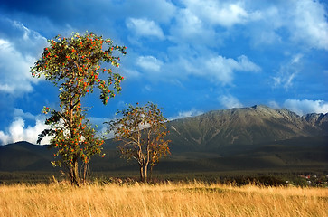 Image showing Mountains landscape