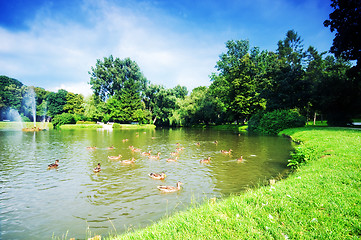 Image showing Charming park with pond