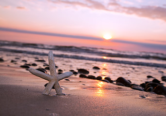 Image showing Starfish on the beach at sunset