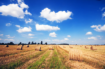 Image showing Haystacks in the field