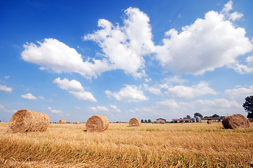 Image showing Haystacks in the field