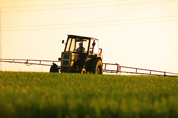 Image showing Spraying the Crop