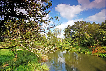 Image showing Summer landscape