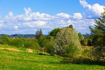 Image showing Rural spring landscape