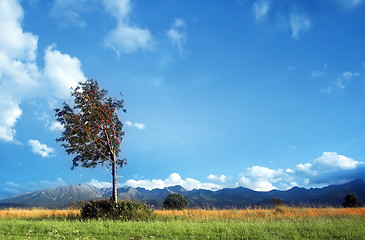 Image showing Mountains landscape