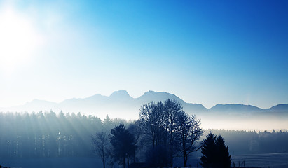 Image showing Winter scenery