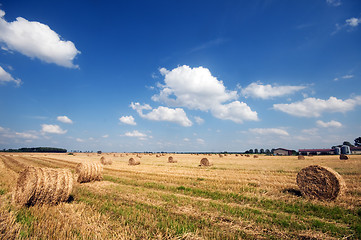 Image showing Haystacks in the field