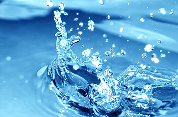 Image showing Splash