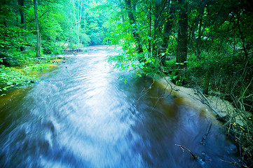 Image showing Forest stream running fast