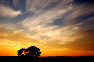 Image showing Sunset and trees