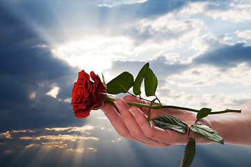 Image showing Holding red rose in romantic scenery