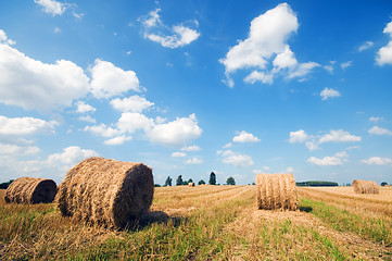 Image showing Haystacks in the field