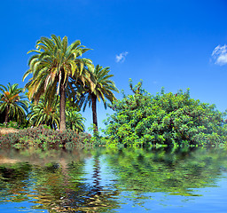 Image showing Tropical exotic jungle and water