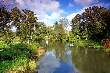 Image showing Summer landscape