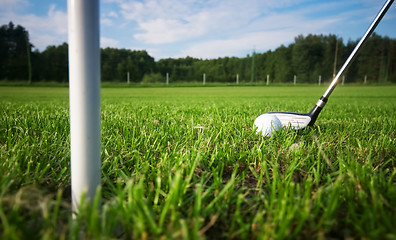 Image showing Playing golf. Club and ball on tee