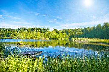 Image showing Tranquil lake in the forest