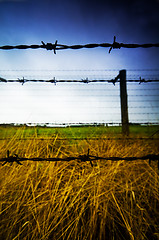 Image showing Barbed wire fence to prison