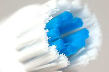 Image showing Modern toothbrush