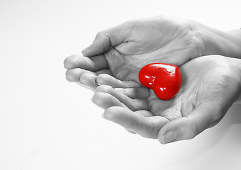 Image showing Heart in hands