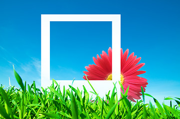 Image showing Blank photo with flower