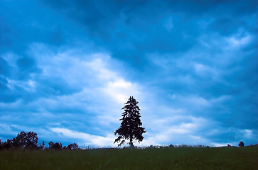 Image showing Rainy landscape with single tree