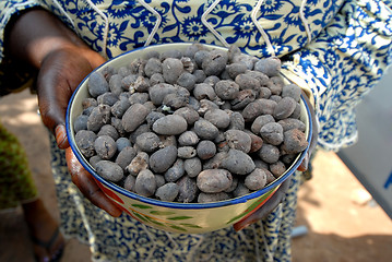 Image showing shea butter nut