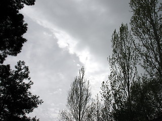 Image showing Cloudy trees. Cyprus