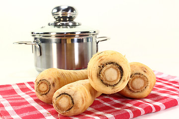 Image showing parsnips