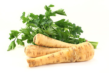 Image showing parsnips