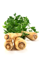 Image showing parsnips