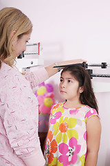 Image showing Doctor measure little child girl height growth 