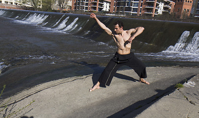 Image showing Man practicing martial arts .