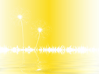 Image showing dandelion